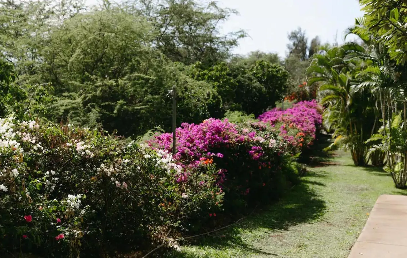 Top 10 Pick! Walk To Beach, Shops, Dining And Pool Wailea  Aparthotel Wailea (Maui)