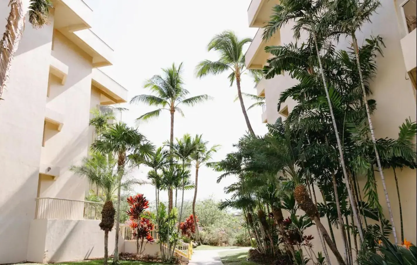 Aparthotel Top 10 Pick! Walk To Beach, Shops, Dining And Pool Wailea