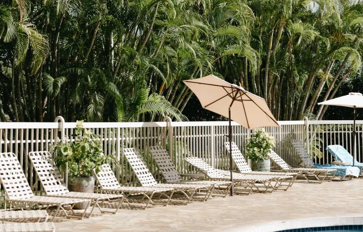 Top 10 Pick! Walk To Beach, Shops, Dining And Pool Wailea